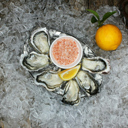 Pre- Order  Oysters