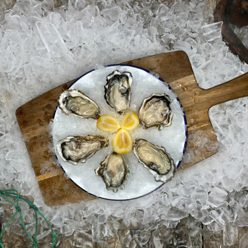 Wildkare Jumbo Oysters (Fresh In Shell) DOZ
