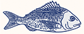 Buy Whole Fish Online