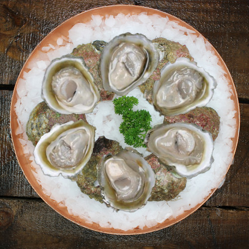 Bluff Oysters Half Shell (Fresh) DOZ 
