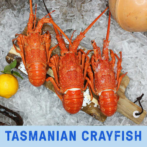 Frozen Cooked Tasmanian Crayfish 2.27 KG EA